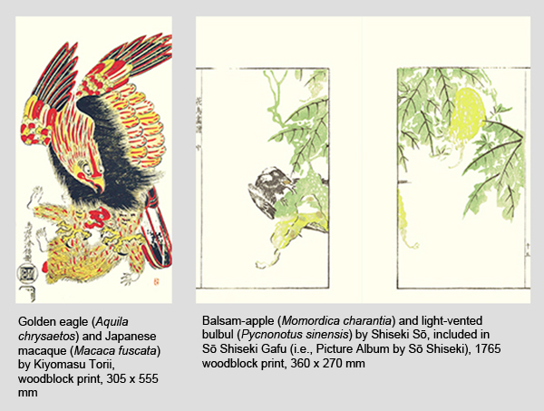 No Background examples